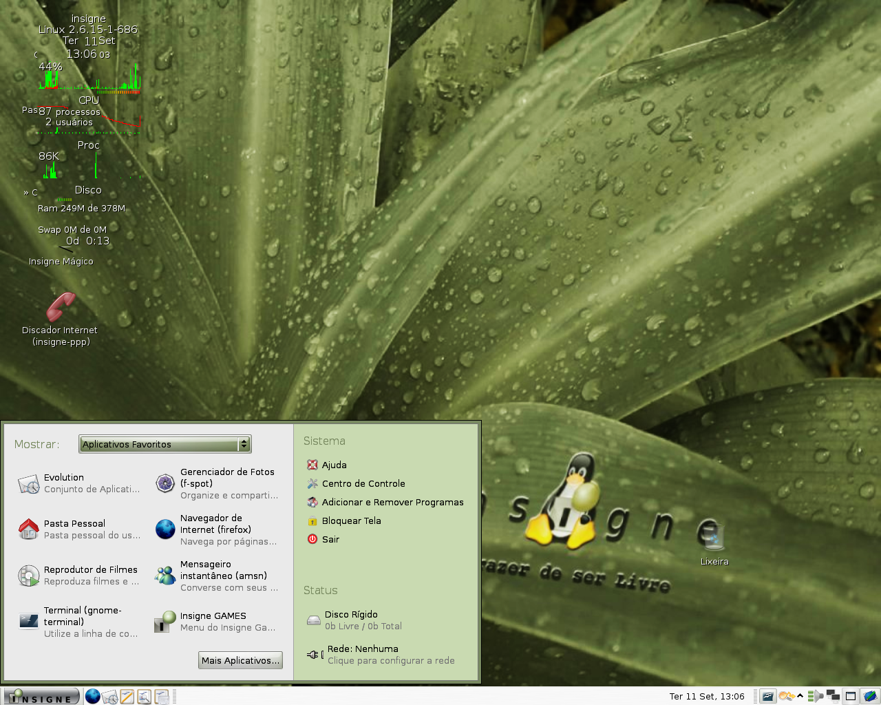 Скриншот Insigne Linux