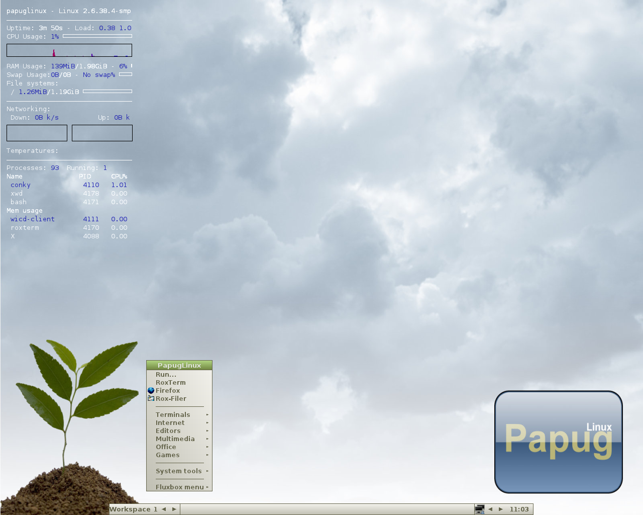 Скриншот PapugLinux