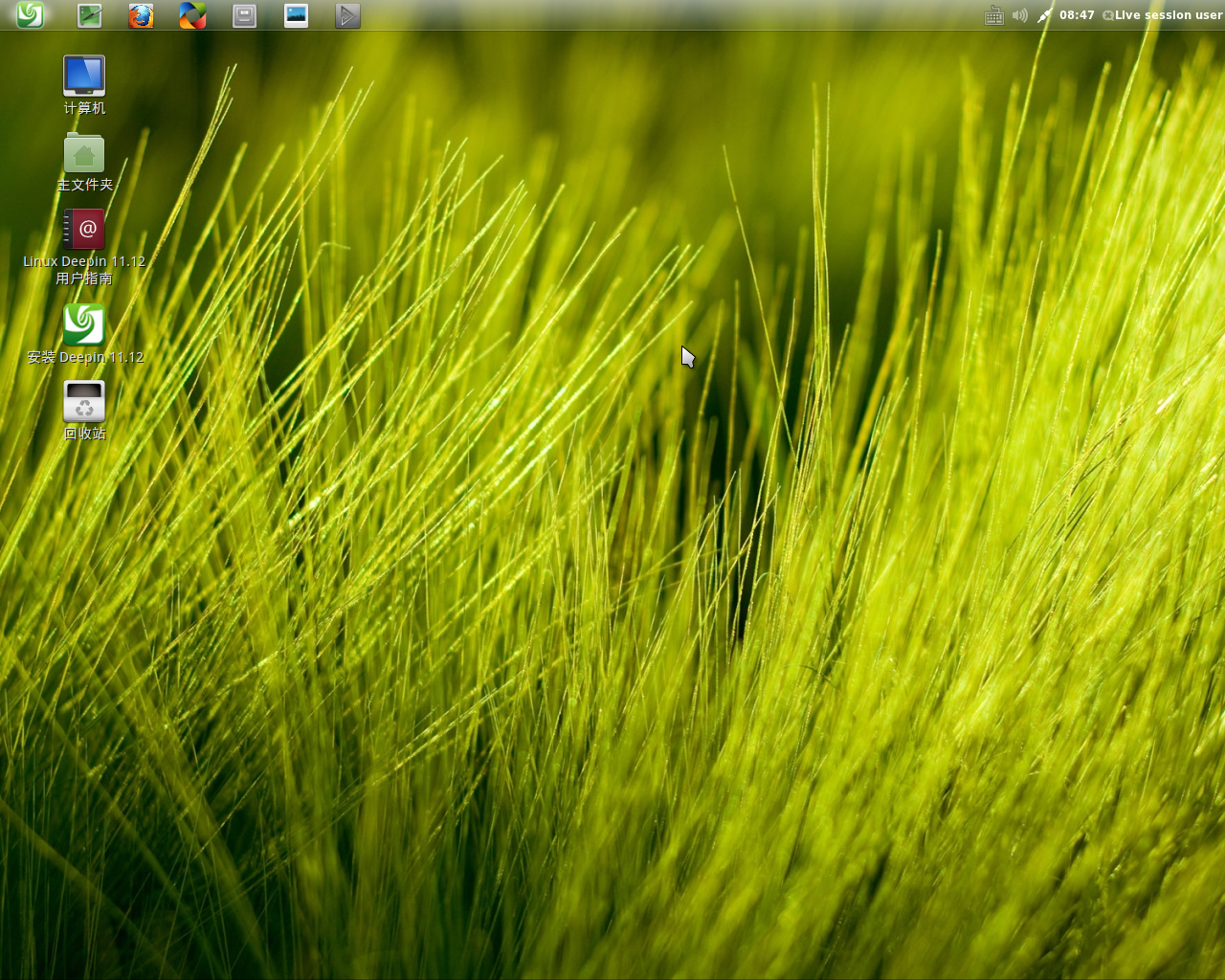 Скриншот Linux Deepin